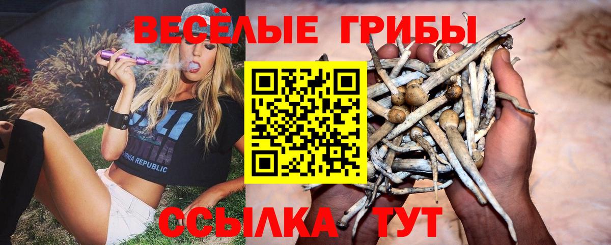 Галлюциногенные грибы ЛСД Саянск
