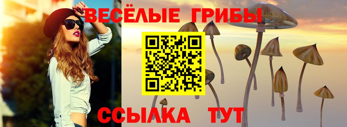 Саянск  Псилоцибиновые грибы прущие грибы  Галлюциногенные грибы GOLDEN TEACHER  Вход с VPN 